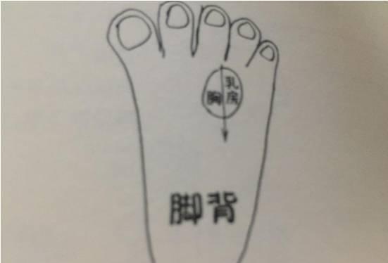 在脚背第三个脚趾和第四个脚趾中间这块区域,就是乳房和胸的反射区
