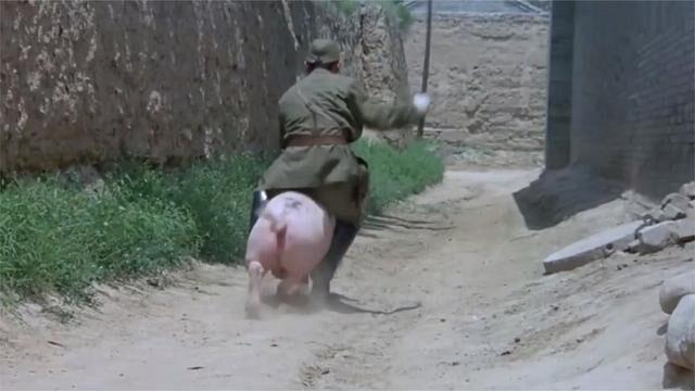 举起手来太君骑花猪炸巷子这段据说整个导演组都笑趴了真逗