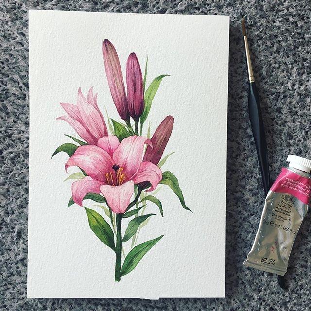 一枝花水彩花卉临摹素材,水彩画花卉上色真好看