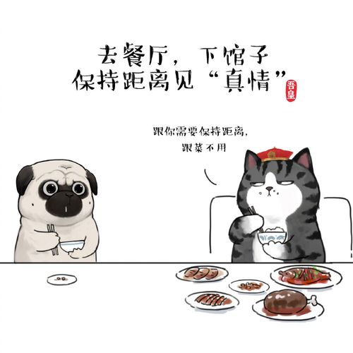 吾皇万岁吾皇万睡