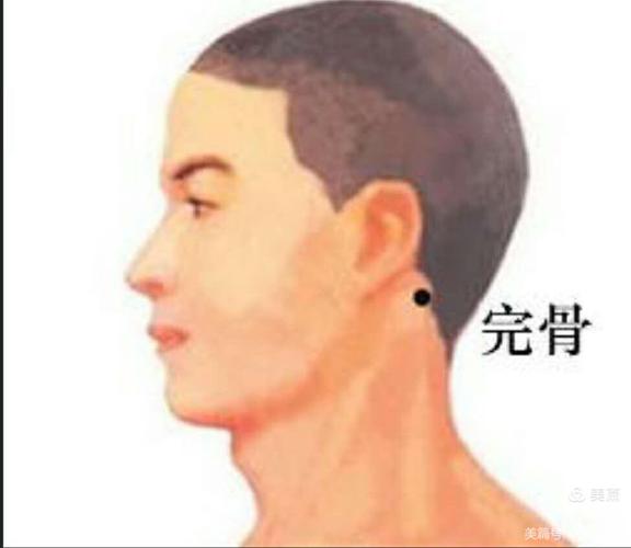 完骨穴