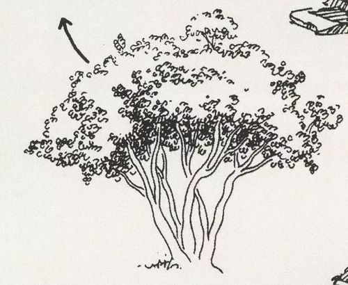 写生前:哇哈哈终于可以出去嗨啦!写生时:建筑速写也踏马的太难了吧qaq