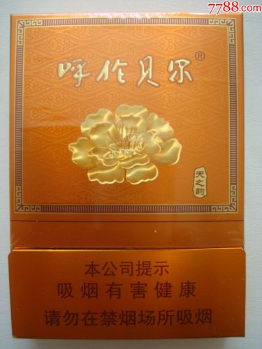 呼伦贝尔(天之韵)――中支