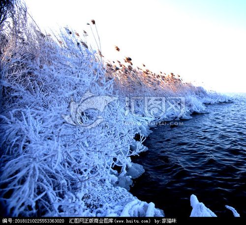 颜色:rgb 普通授权 ￥60 关 键 词:   冰 雪 冷 湖 草 冬季 冬天 湖面