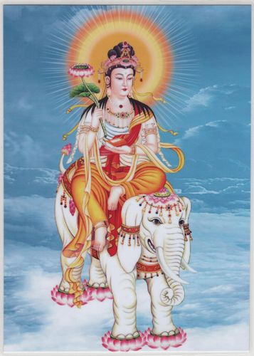 普贤菩萨 (六) - 佛教图片网_佛教图片_佛教图像_佛教照片_佛教图片网