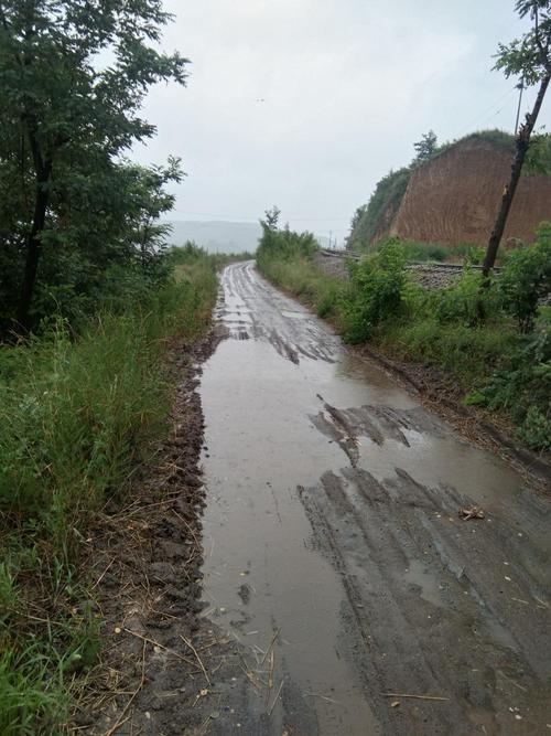 白水县林皋镇张长城村生产道路 - 渭南市委书记王琳