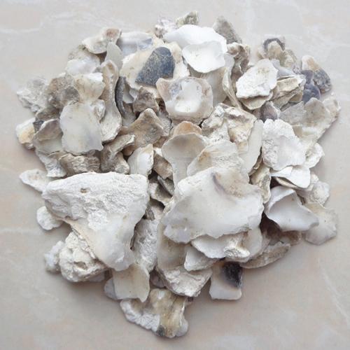 中药材批发 牡蛎 牡蛎壳 生牡蛎 生牡蛎壳 大货