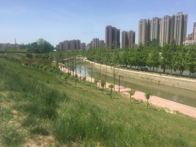 长安区樊川公园成为西安人周末度假胜地,玩水露营还有