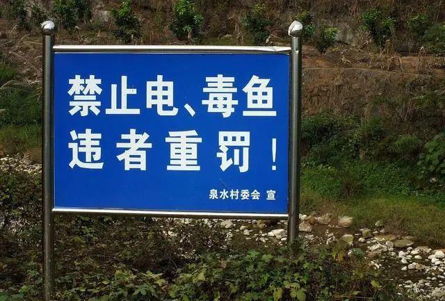 继"禁渔令"后,农村常见三种捕鱼方式也被禁,违反了后果严重