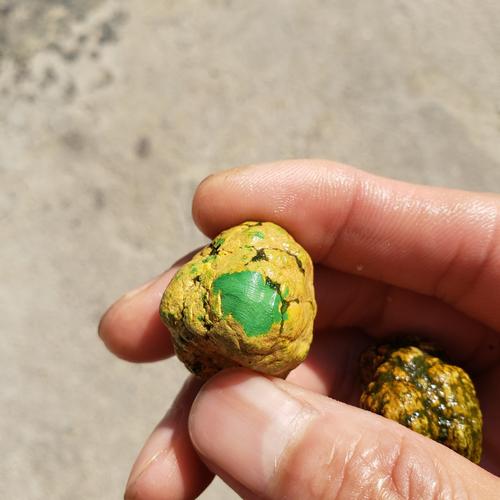 绿松石替代品仿绿松石原石毛料菜籽黄菜绿绿松石遇水盘玩儿变色