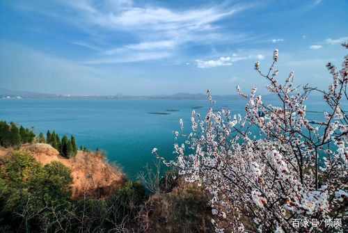 欣赏一下陆浑水库湖畔的美景