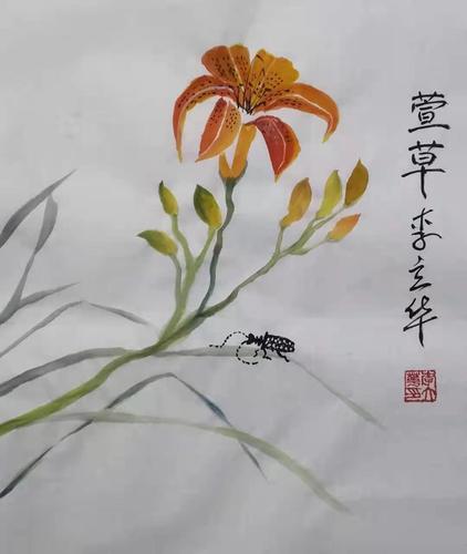网课写意花鸟第八课《萱草》忘忧草—及工笔网课作业展(本周11月29日