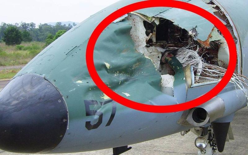 世界上第一次发生鸟撞飞机是1902年吗