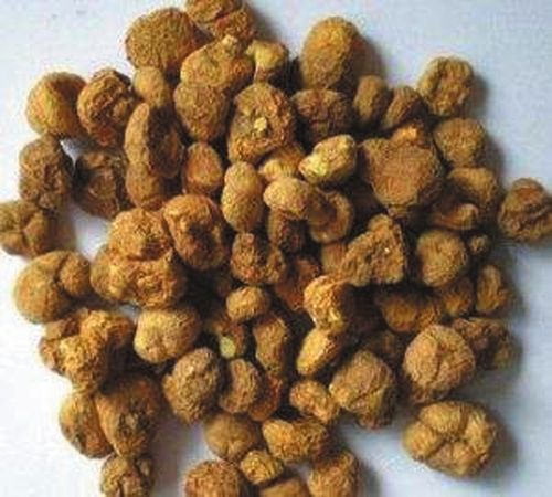 中药材"武七味"遴选活动