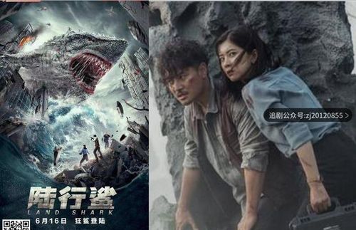 【追】陆行鲨电影在线观看完整版 1080p高清免费资源