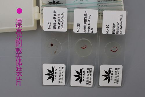显微镜专用配件生物标本切片25种植物动物组织标本颜色均匀he染色
