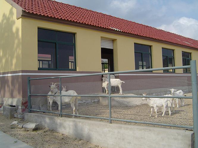 奶山羊原种场羊舍