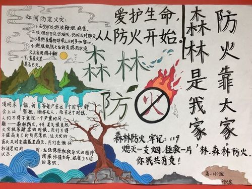 龙山中学高一年级"森林防火"手抄报比赛结果出炉