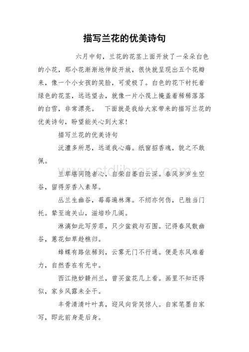 描写兰花的优美诗句