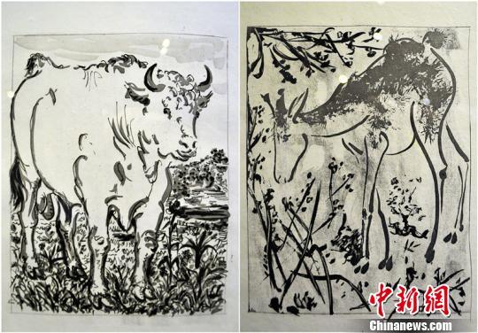 毕加索8件版画作品亮相新疆,其中5件作品都是动物题材,分别为:《公羊