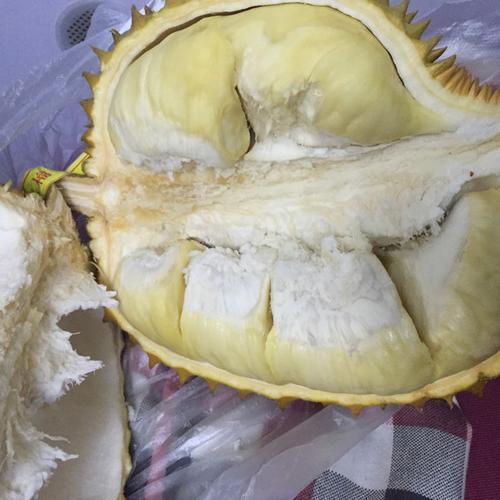 超人的饭团子做的伱开过的那些榴莲