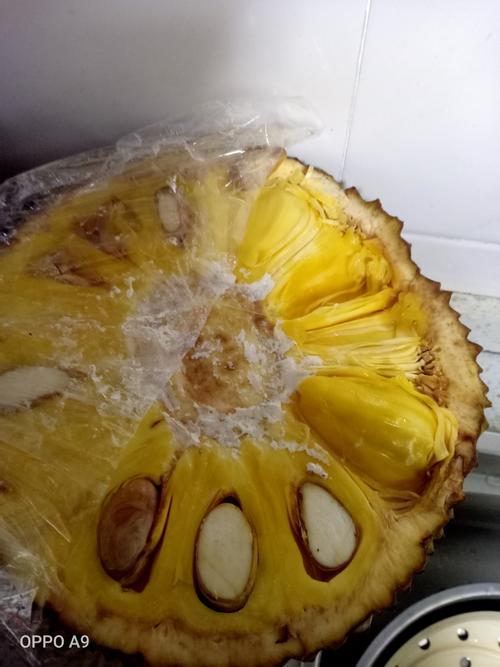 久连天然 菠萝蜜20-25斤 新鲜水果热带果 当季热带 海南产地现摘发货