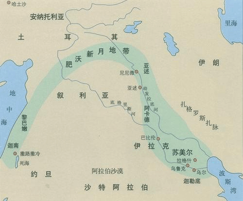 九年级历史上册第一单元第2课大河流域__人类文明的摇篮教案3新人教版