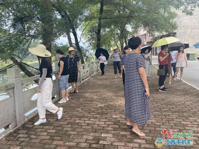 临湖镇党委副书记,镇长李华艳,镇党委委员,妇联主