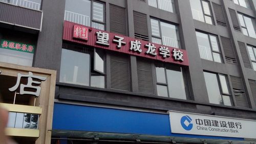 望子成龙学校(索尔国际校区)