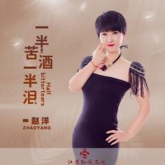 首页 专辑 一半苦酒一半泪 专辑名: 歌手:赵洋 发行时间:2021-04-10