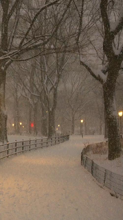 一夜之间,这座城市就冷了,风一动,寒一重,愿所有人,有衣暖,有人爱.