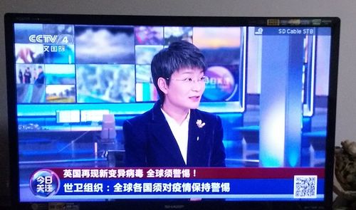 晚9点半,中央4台"今日关注"向全国讲英国的变异冠状病毒又讲南非也