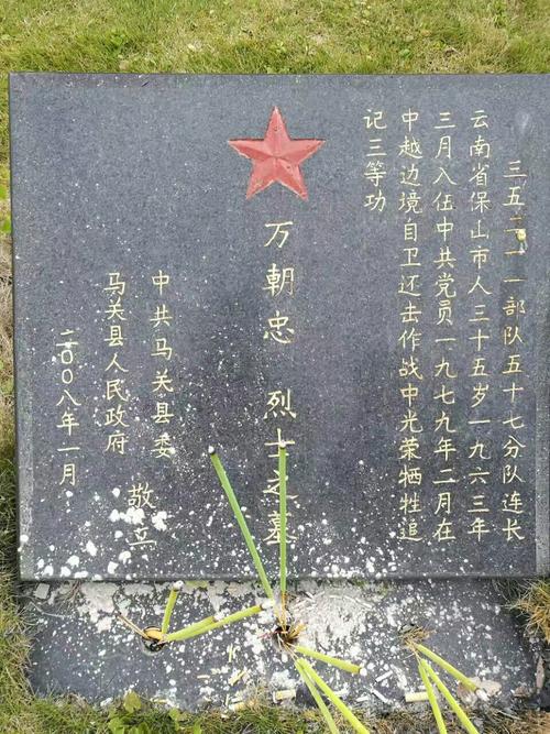 七九年八四年对越自反击牺牲的革命英雄烈士永垂不朽.