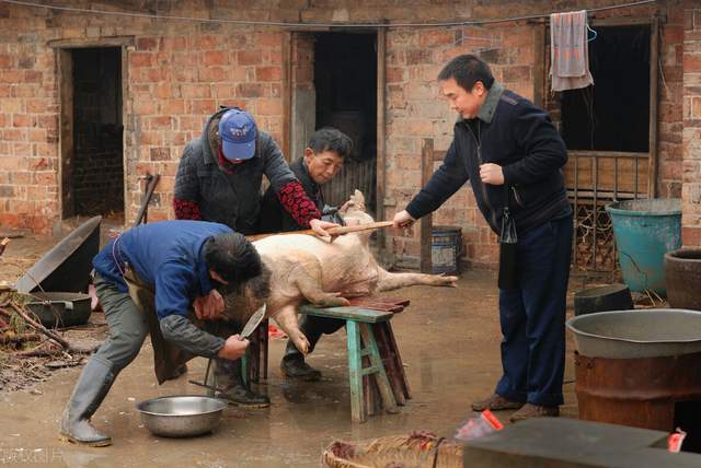 杀猪盘:我们可能都是局中人|潘金莲|屠宰场|巴菲特_网易订阅