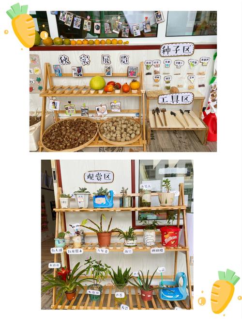 聆听角落谜语·邂逅最美秋天 ——广寒寨乡公办中心幼儿园自然角评比