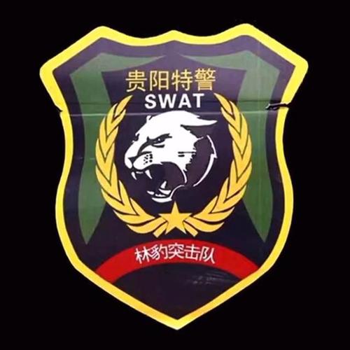 帅!全国公安特警标志臂章图集