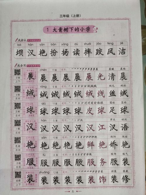 我现在已经开始练习三年级的字帖,希望三年级开学的时候,我也能写一手