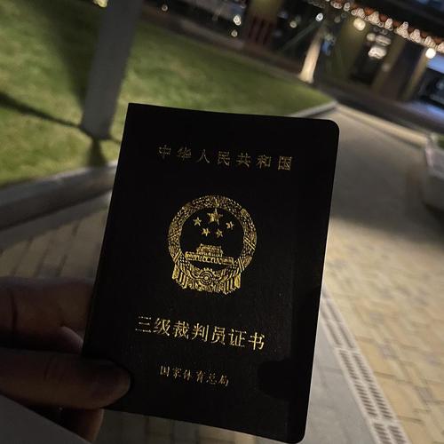 考出了冰球三级裁判证
