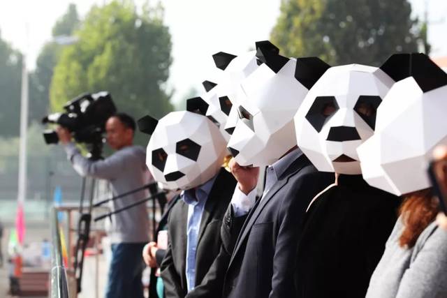 头戴"熊猫"面具的领导们,很有爱