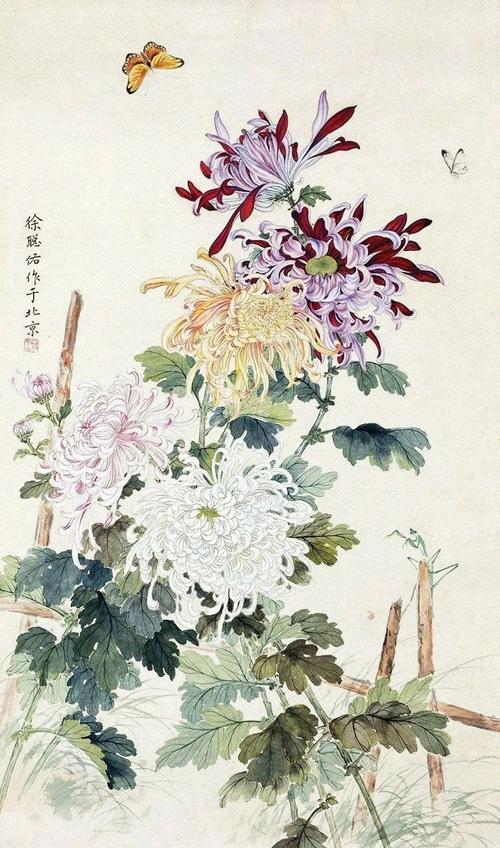 研工笔擅菊花齐白石为什么称赞她