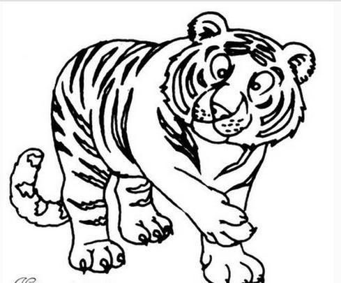 老虎简笔画卡通老虎简笔画图片10张卡通老虎怎么画
