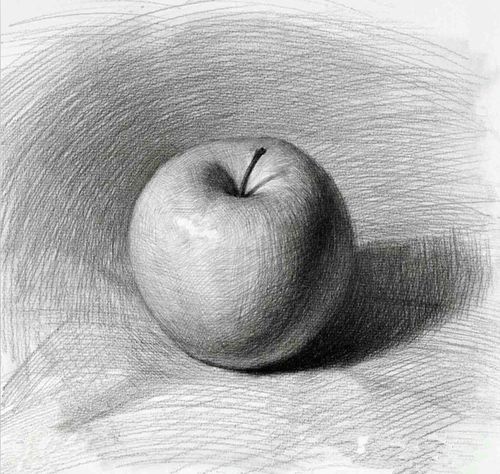 来一起看看色秒静物水果怎么画