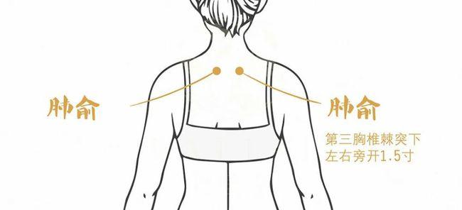 治疗热痰,湿痰,燥痰等病证,尤其适合喉咙里很难咯出痰的人,经常按摩