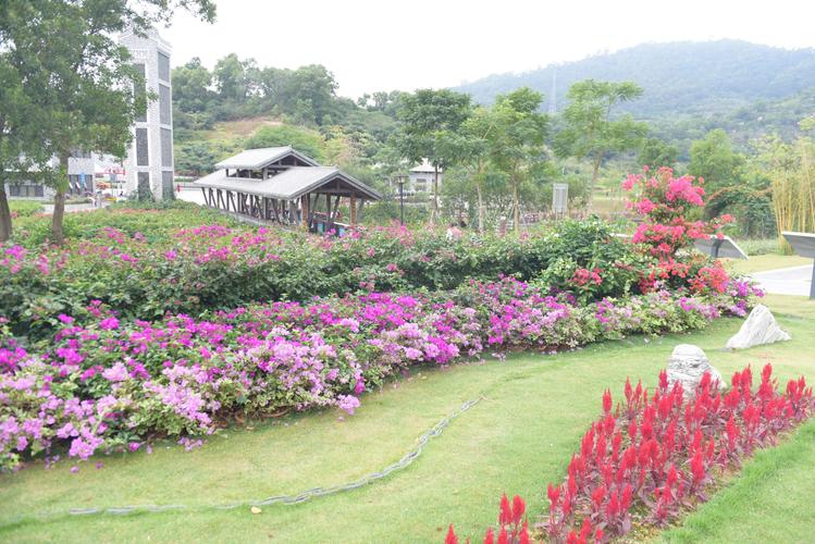 深圳簕杜鹃谷,平峦山公园休闲游