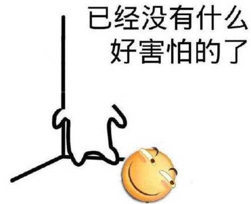 有什么笑到头掉的表情包?