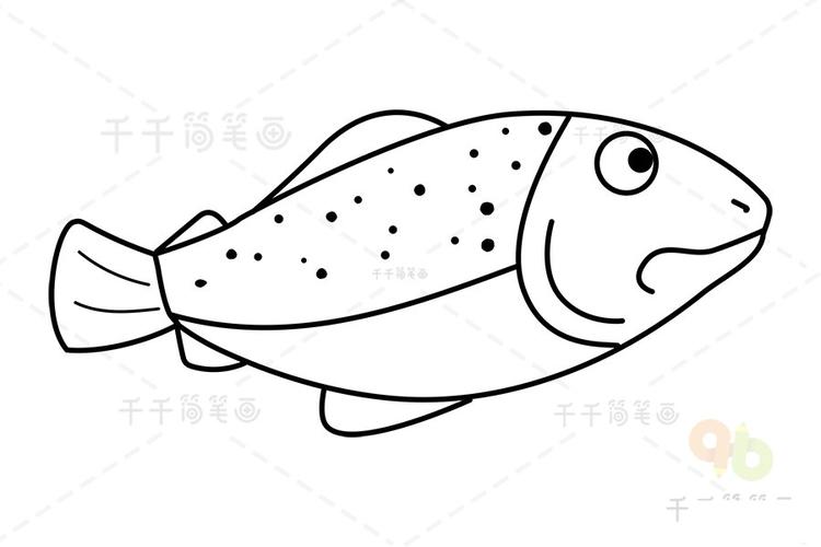 三文鱼简笔画步骤图