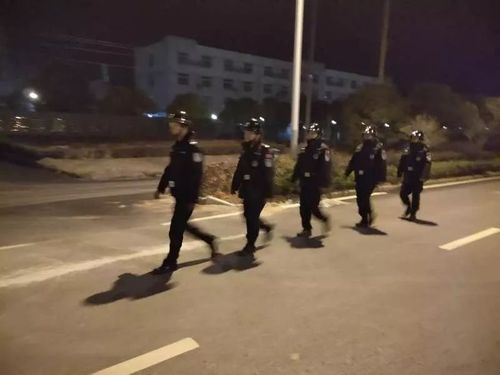 贵溪罗河派出所过年成功抓获一名网逃