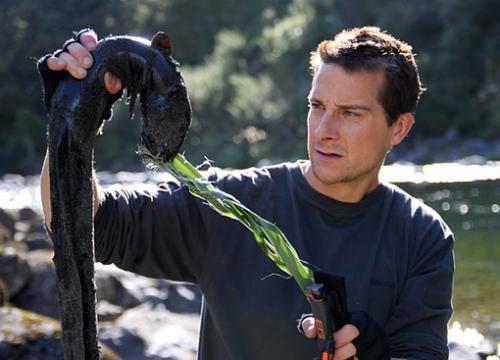 介绍贝尔格里尔斯的手抄报 介绍自己的手抄报