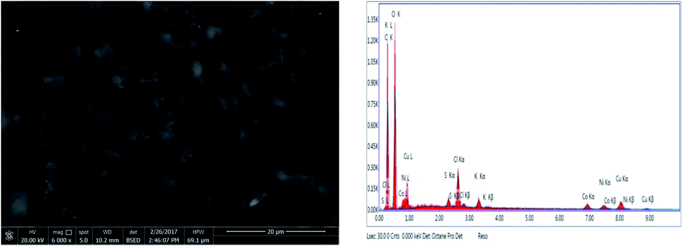 potassium fulvate-functionalized graft copolymer