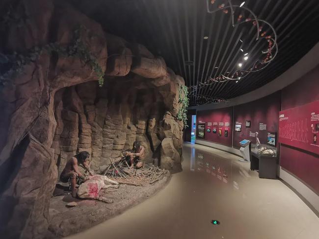 赣州地质博物馆中国地质博物馆赣州分馆正式开馆啦